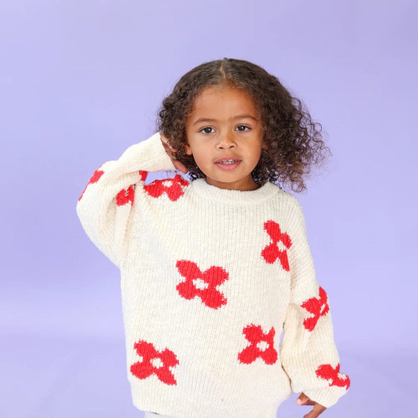 Knitted Posy Pull Over