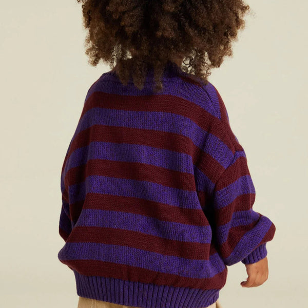 Eben Purple Stripe Cardigan