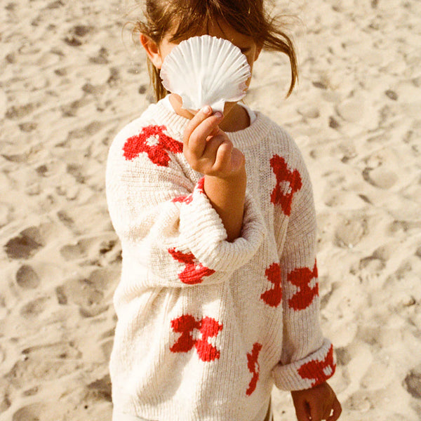 Knitted Posy Pull Over