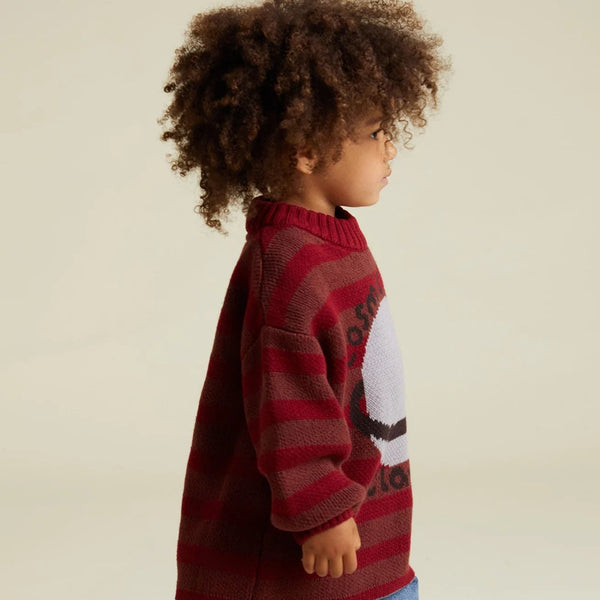 Saturn Maroon Sweater